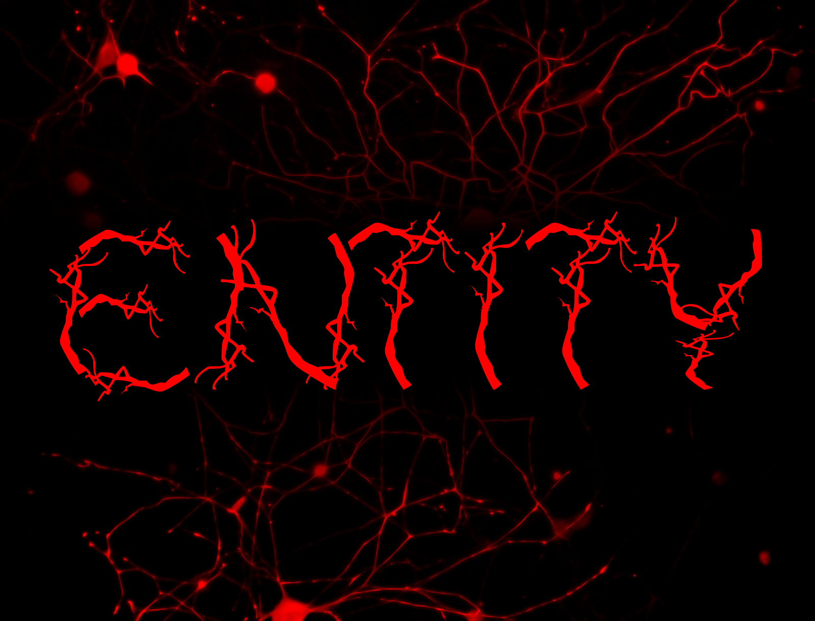 Kickstarter - Entity